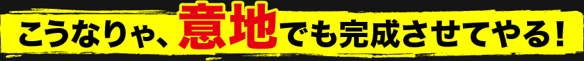 こうなりゃ、意地でも完成させてやる